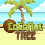 Coconut Tree