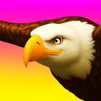 Eagle Ride 