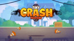 Tiny Crash Fighters