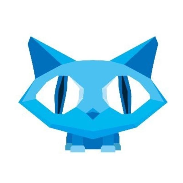 MetaCat Game Studio